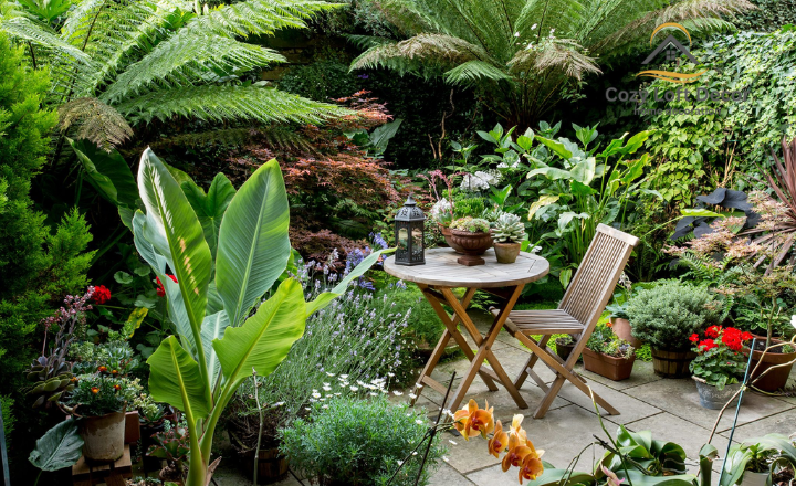 Best Practical Gardening Ideas